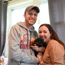 German Shepherd Puppies from Riverline Shepherds