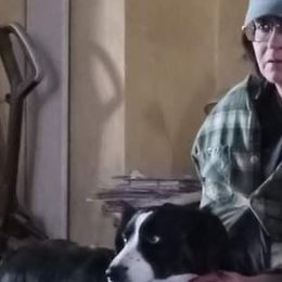 Australian Shepherds from Stice's Australian Shepherds