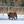 Unnamed