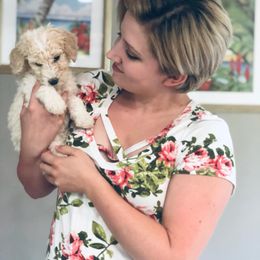 "Standard Poodle" Bearded Retriever, Bernedoodle, and Poodle Puppies from Doodle Belle Puppy