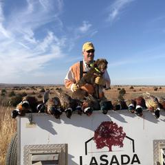 Pudelpointer All Grown Up from Rebel Point Pudelpointers