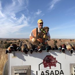 Pudelpointer All Grown Up from Rebel Point Pudelpointers