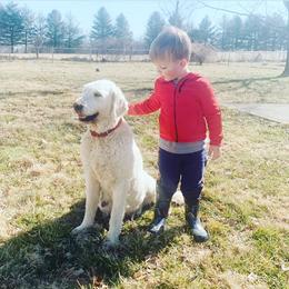 Gray - Goldendoodle