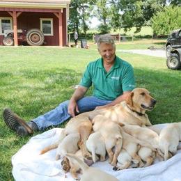 Labrador Retriever All Grown Up from Woodsmoke Kennels