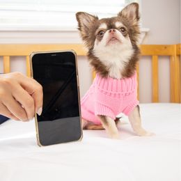 Baby Ellie- 8,560 - Chocolate and white female Chihuahua puppy in Jacksonville, Florida from Petits Chihuahuas