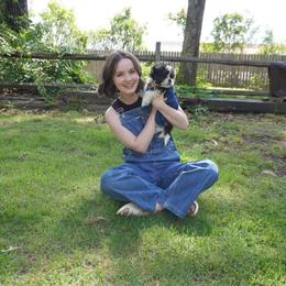 Shorkie All Grown Up from Roover's Oklahoma Shorkies