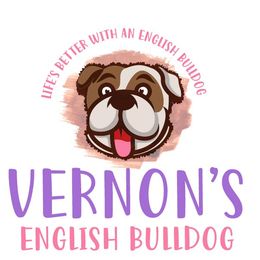 Bulldogs from Vernon’s English Bulldogs