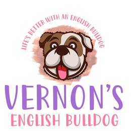 Bulldogs from Vernon’s English Bulldogs