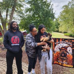 German Shepherd Puppies from Von Hoene Heritage Shepherds