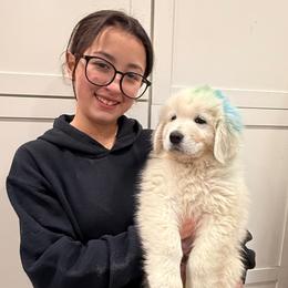 BlueGreen Boy - White male Maremma Sheepdog puppy in Kings County, California from Prancing Pony Farm Maremma Sheepdogs