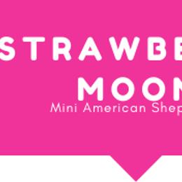 Miniature American Shepherds from Strawberry Moon MAS