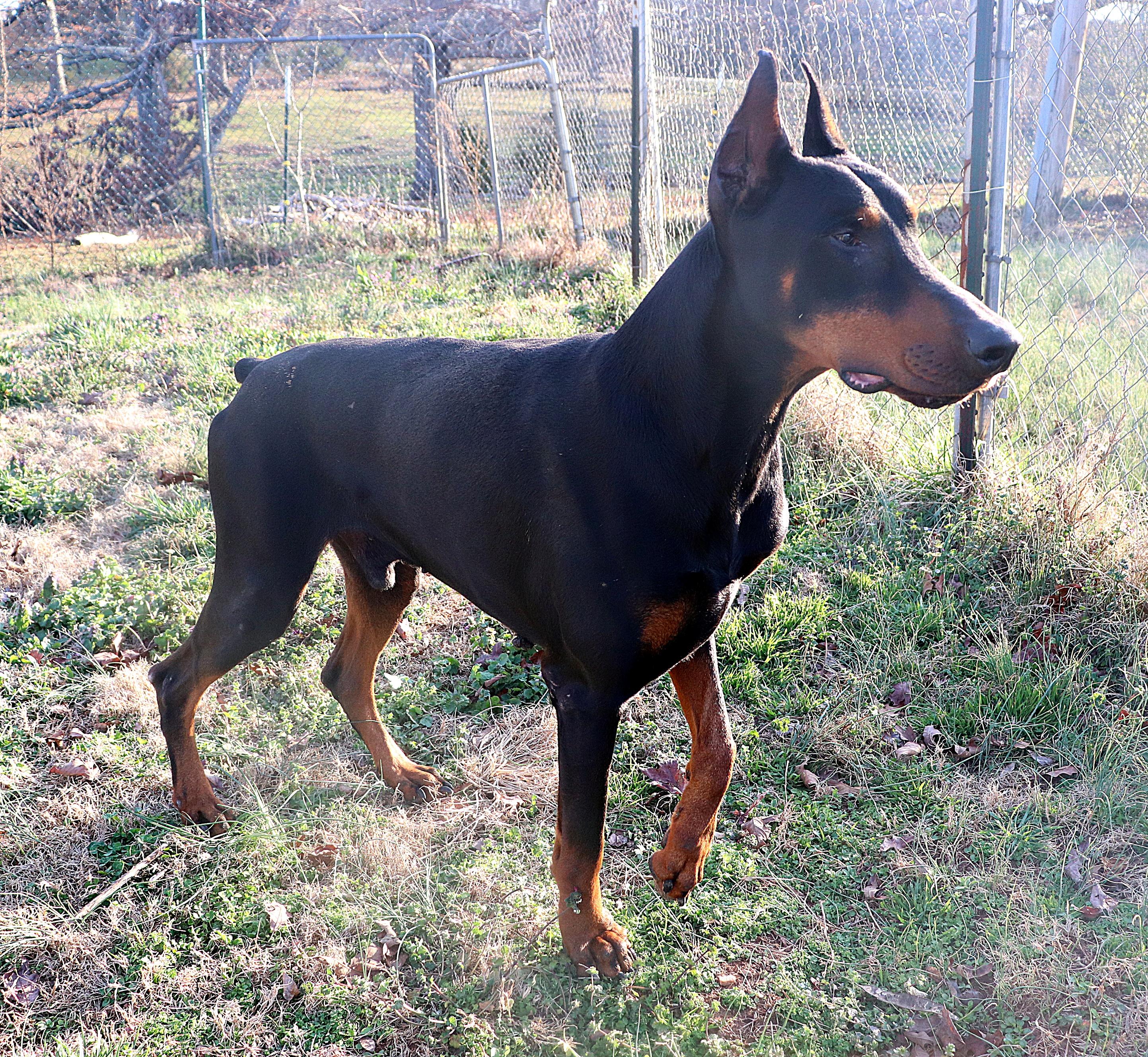 Max