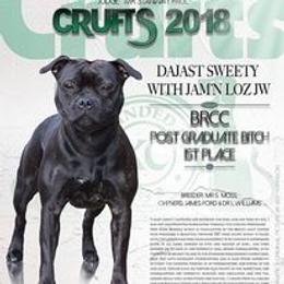 Staffordshire Bull Terriers from Camelot Staffords