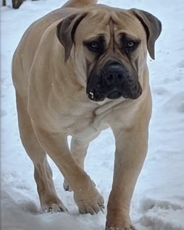 Capone