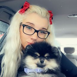 Pomeranian Puppies from A Sample Of Gods Love Kennels