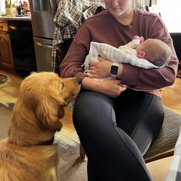 Cavalier King Charles Spaniel and Golden Retriever Puppies from Country Goldens and Mountain Top Cavaliers