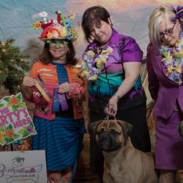 Bullmastiff All Grown Up from Bobeck Bullmastiffs