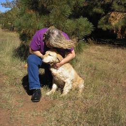 Golden Retriever All Grown Up from Rainbow Goldens