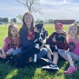 Border Collie Puppies from Gulan Farm Border Collies