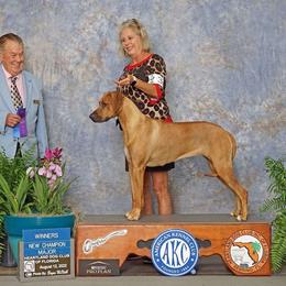 Johari - Rhodesian Ridgeback