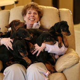 Doberman Pinscher Puppies from Laurel Vail