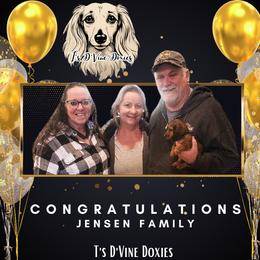 Dachshund Puppies from T’s D’Vine Doxies