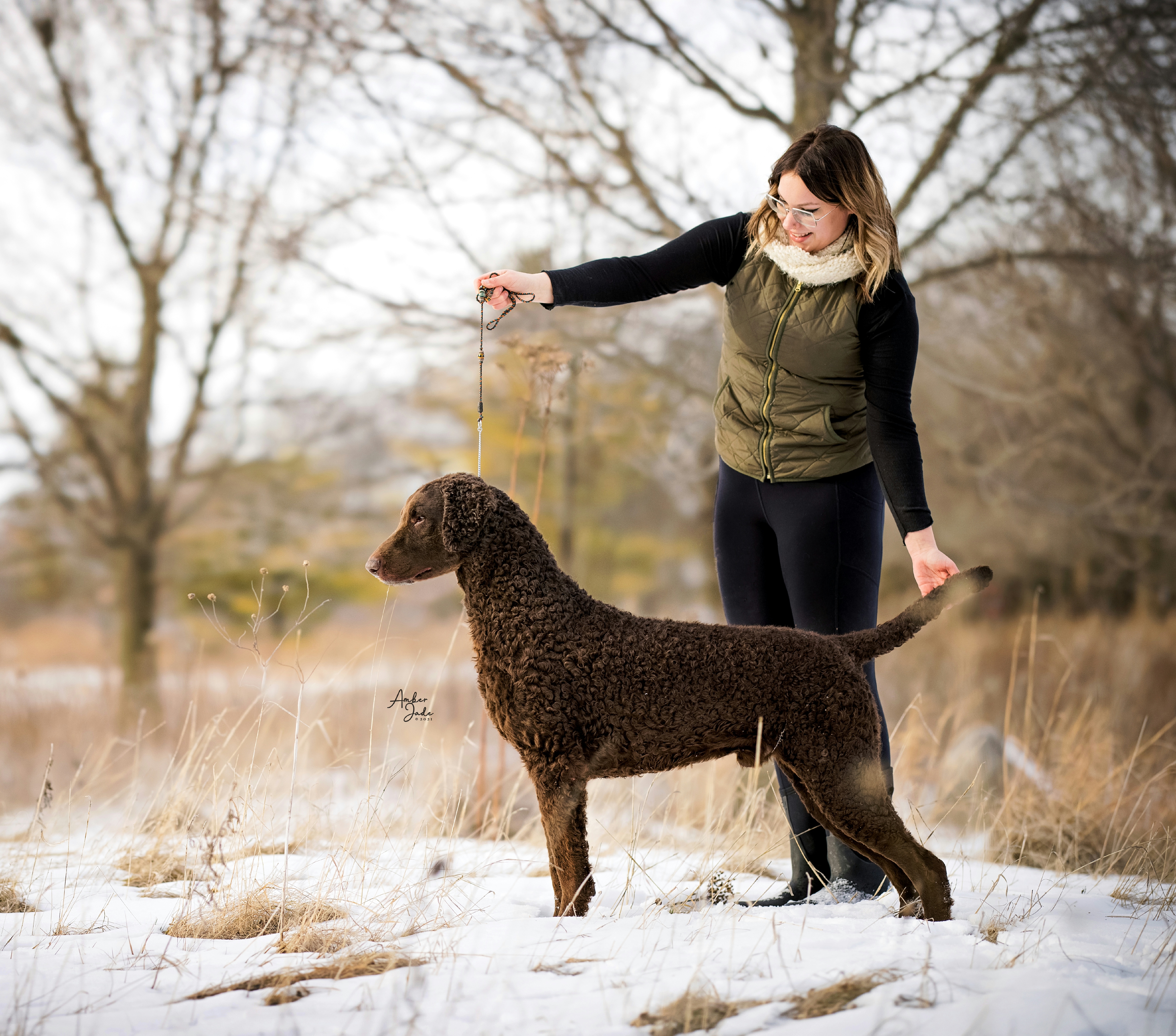 Curly-Coated Retriever All Grown Up from Stoic Gun Dogs