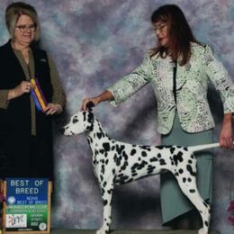 London - Dalmatian