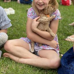 Australian Labradoodle Puppies from Magnolia Breeze Labradoodles