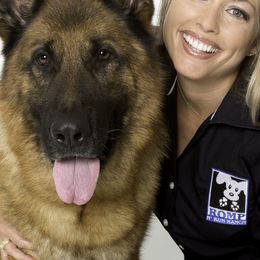 German Shepherds and Miniature Bull Terriers from Romp N' Run Ranch