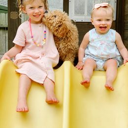 Goldendoodle Puppies from Labradoodleday