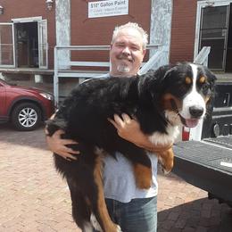Bernese Mountain Dog All Grown Up from Bernese Mountain Railway