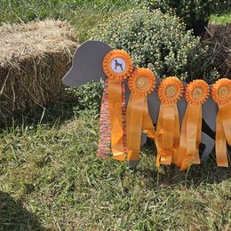 Weimaraner Puppies from So-IN Weimaraner's