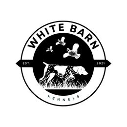 German Shorthaired Pointers from White Barn Kennels LLC