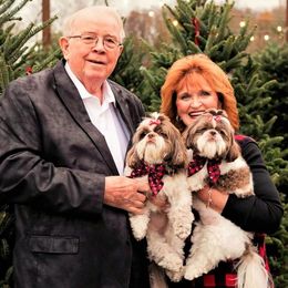 Shih Tzu Puppies from Pup-Tzu WNC