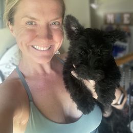 Scottish Terrier Puppies from Heart of America Scotties
