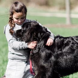 Xena - Newfoundland