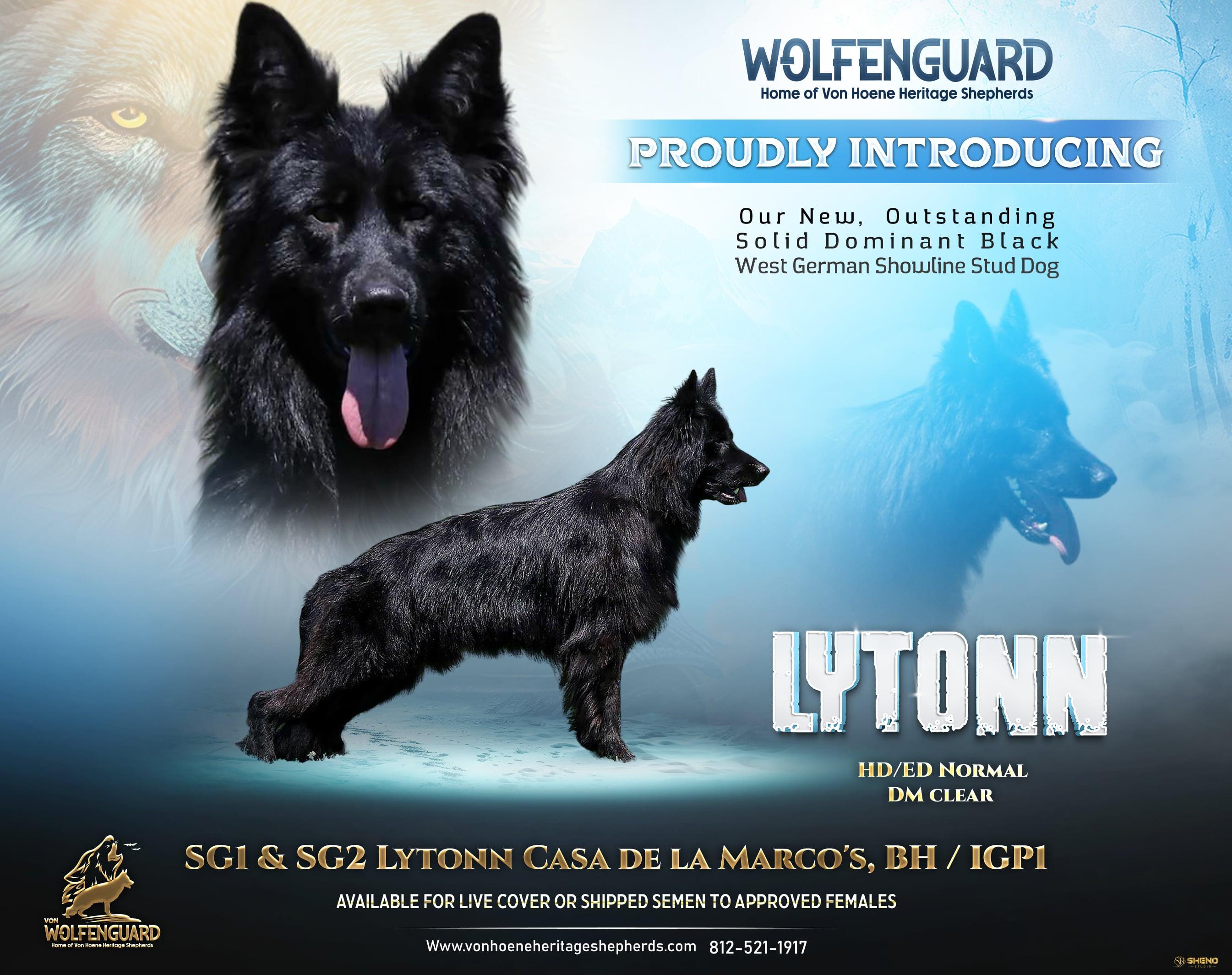 Lytonn