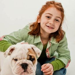 Bulldog Puppies from Our House Of Treasures