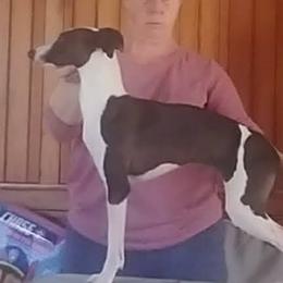 Fashion - Italian Greyhound