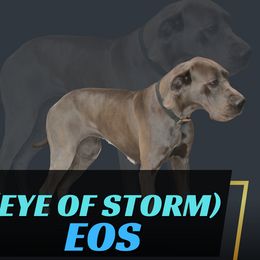 EOS - Great Dane