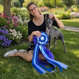 American Hairless Terrier and Pembroke Welsh Corgi All Grown Up from Flipside Dogs