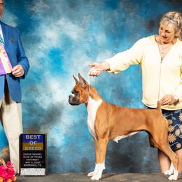 Boxers from Olvera’s Boxers