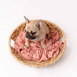 French Bulldog Puppies from Baker Built Frenchies