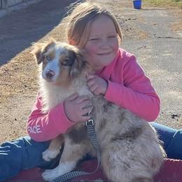Dally - Miniature American Shepherd