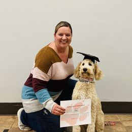 Evie - Goldendoodle
