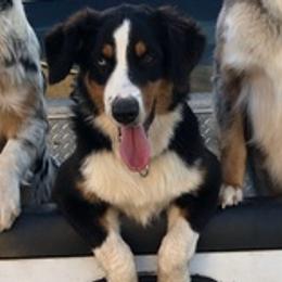 Australian Shepherds from Bobbye Rucker's Australian Shepherds