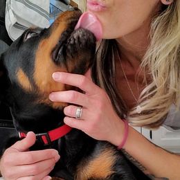 Rottweiler Puppies from Iron Clad Rottweiler