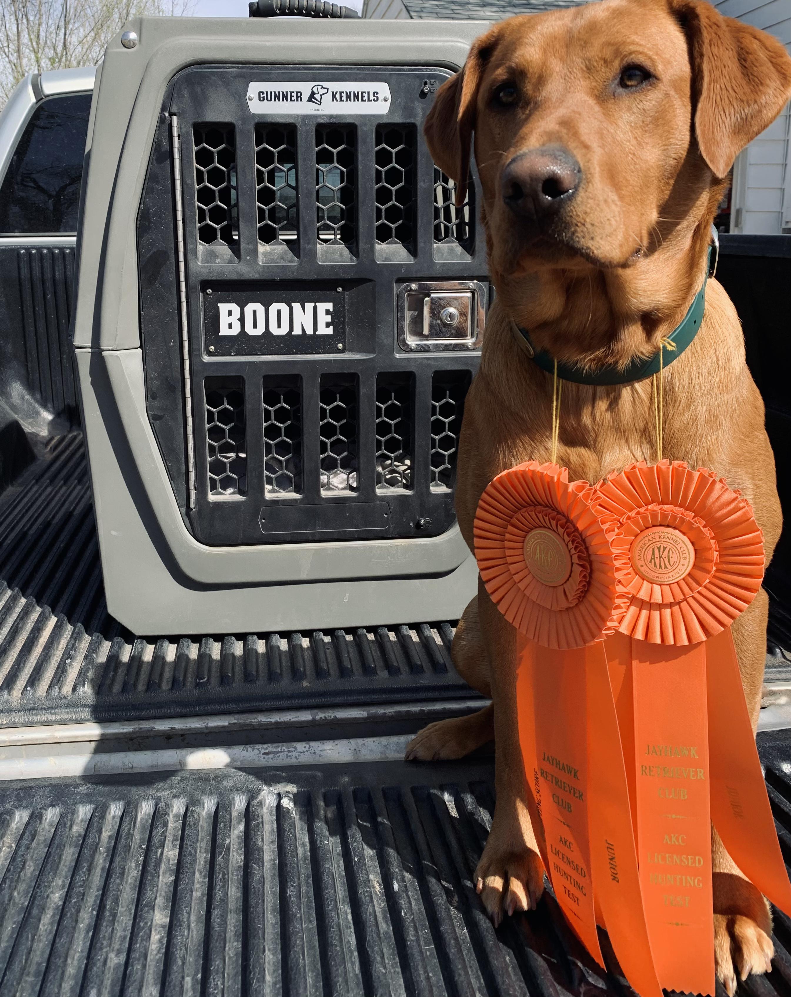 Boone