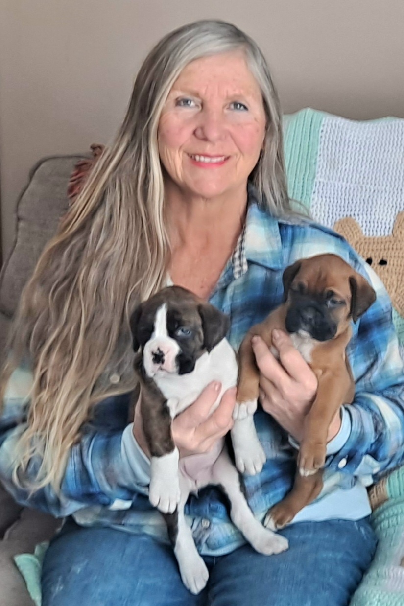 Boxer Puppies from Hope's Beautiful Boxers